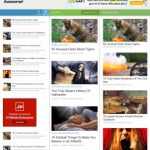 Awesome Mag Responsive