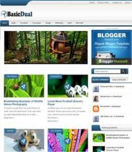 BasicDual Gallery