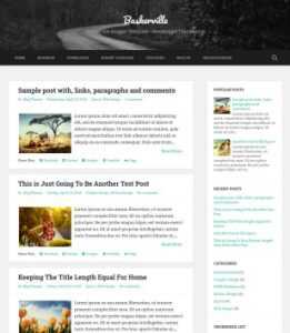 Baskerville Responsive