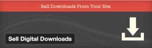 Best Platform To Sell Digital Products