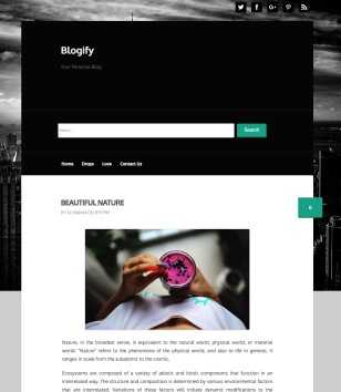 Blogify