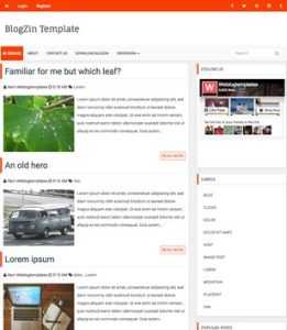 BlogZin Responsive