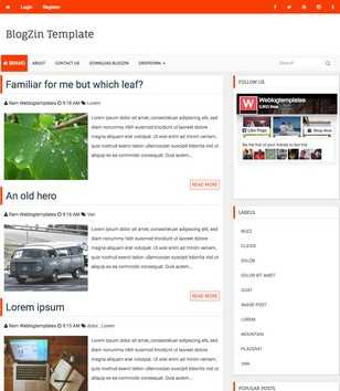 BlogZin Responsive