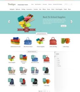 Boutique Shopping Store