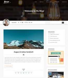 Boxer Responsive