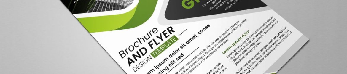 Brochures and flyers template design vector image