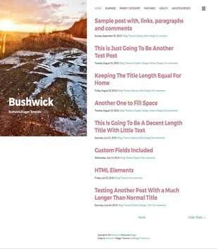 Bushwick Responsive