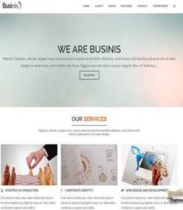 Businis