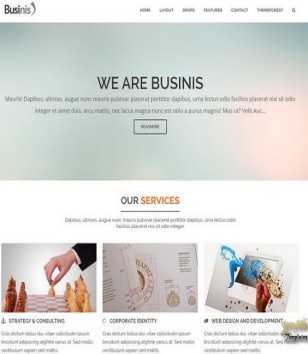 Businis