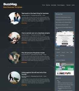 BuzzMag Responsive