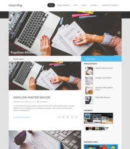 Clean Mag Responsive