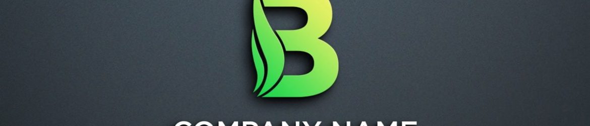 Creative B Letter Logo Design