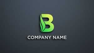 Creative B Letter Logo Design