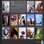 Dcm Dark Responsive