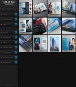 DCM V2 Blue Responsive