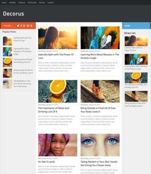 Decorus Responsive