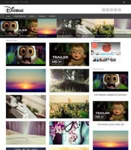 Digbug Video Responsive
