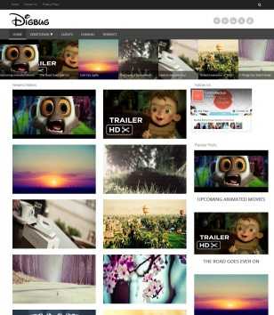 Digbug Video Responsive