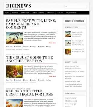 Diginews For News