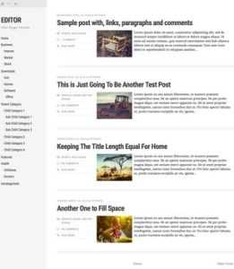 Editor Responsive