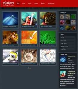 eGallery