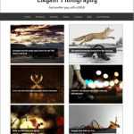 Elegant Photography