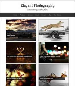 Elegant Photography