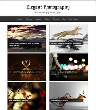 Elegant Photography