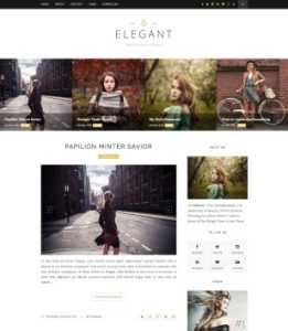 Elegant Responsive