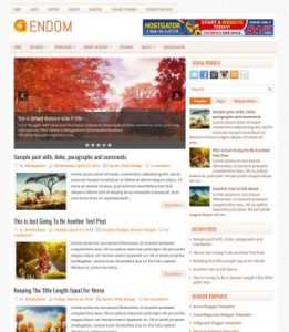 Endom Magazine