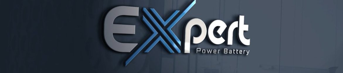 Expert Logo Design