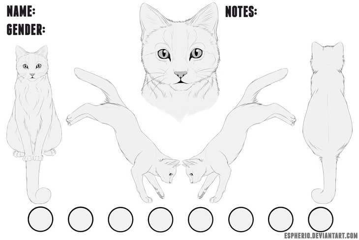 Feline Free Lineart PSD