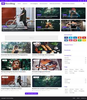 FlexBlog