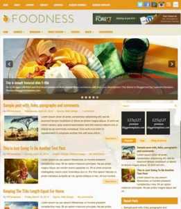 Foodness Health