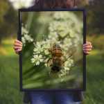 Frame Mockup
