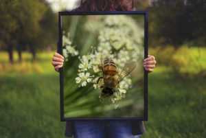 Frame Mockup