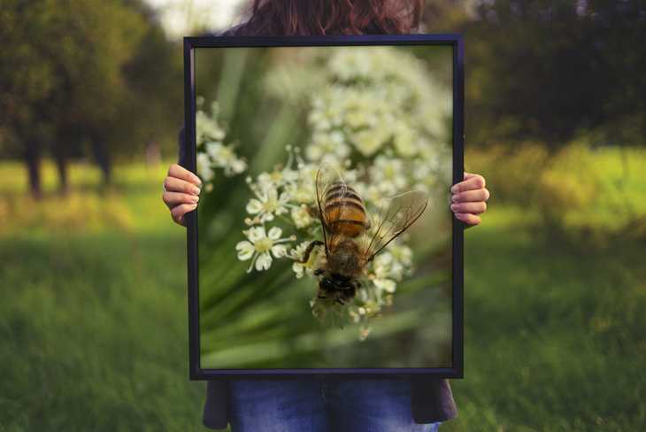 Frame Mockup