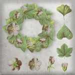 Free Flowers PSD