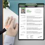 Free Professional Clean Resume CV - Download Grátis Free Professional Clean Resume CV