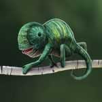 Free PSD Chameleon Illustration