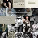 Free PSD One Page Template - Free PSD Download Free PSD One Page Template