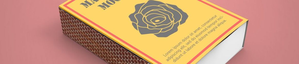 Free Rectangular Match Box Mockup