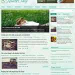HealthDaily Green