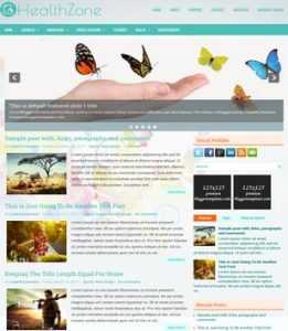 HealthZone Responsive