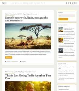 Ignite Responsive