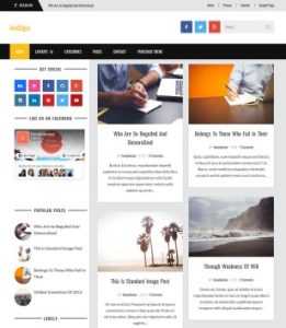 Indigo News