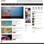 Jarid Magazine