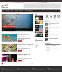 Jarid Magazine
