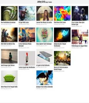 Johny Grid Responsive