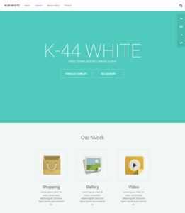 K44 White Responsive